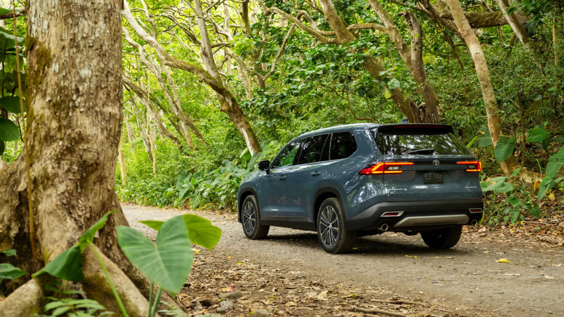 2024 Grand Highlander driving in a forest