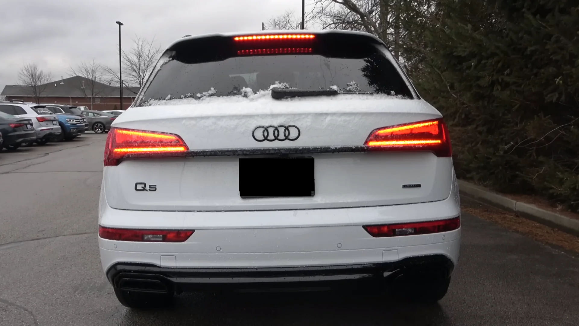 2024 Audi Q5 Rear Profile Image 