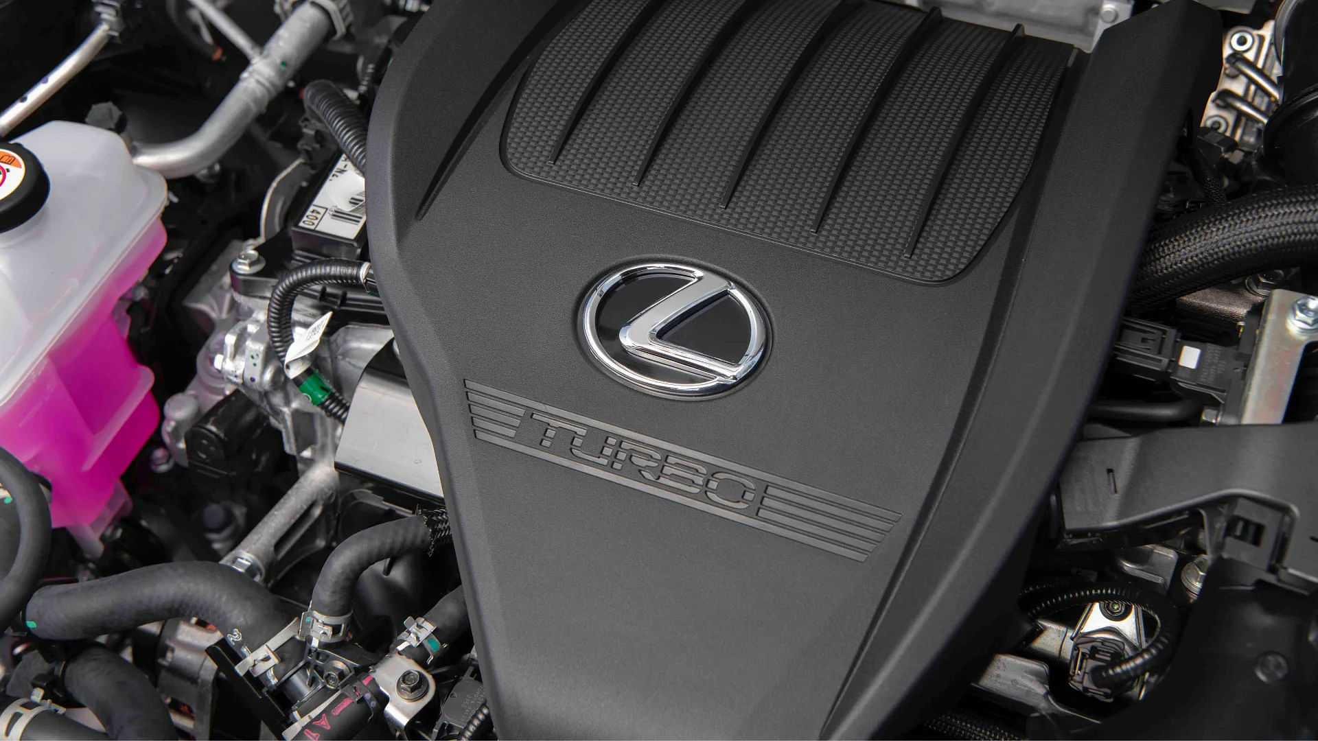 2024 Lexus NX Engine