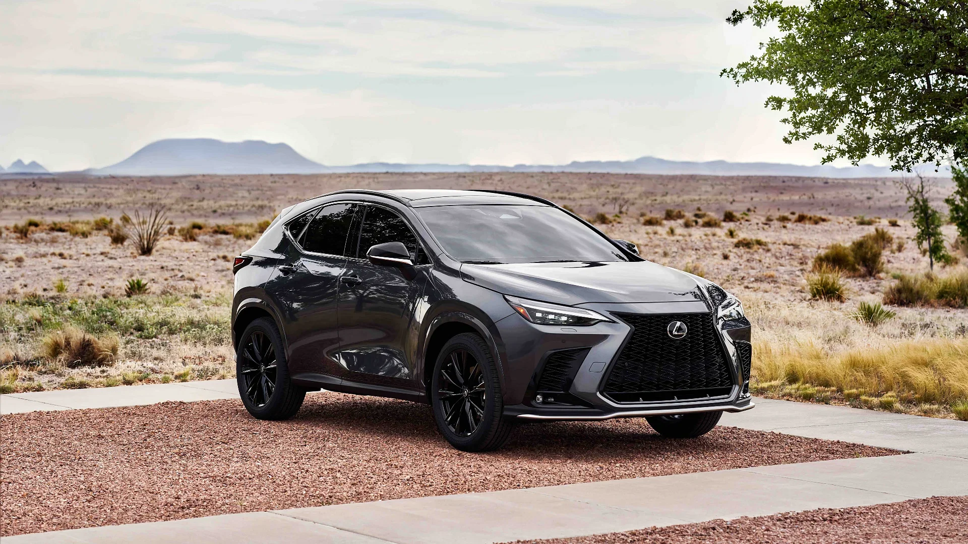 2024 Lexus NX Exterior