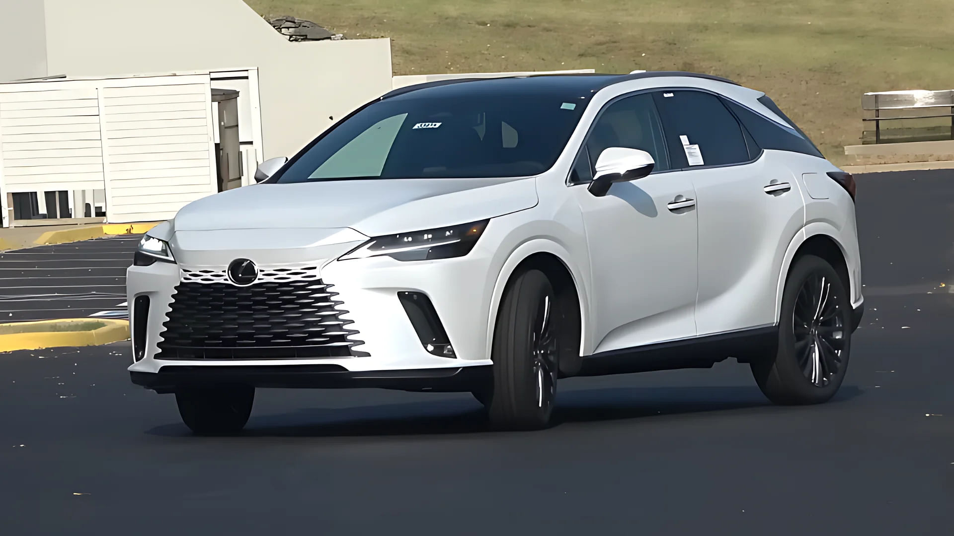 2024 Lexus RX Exterior Driving