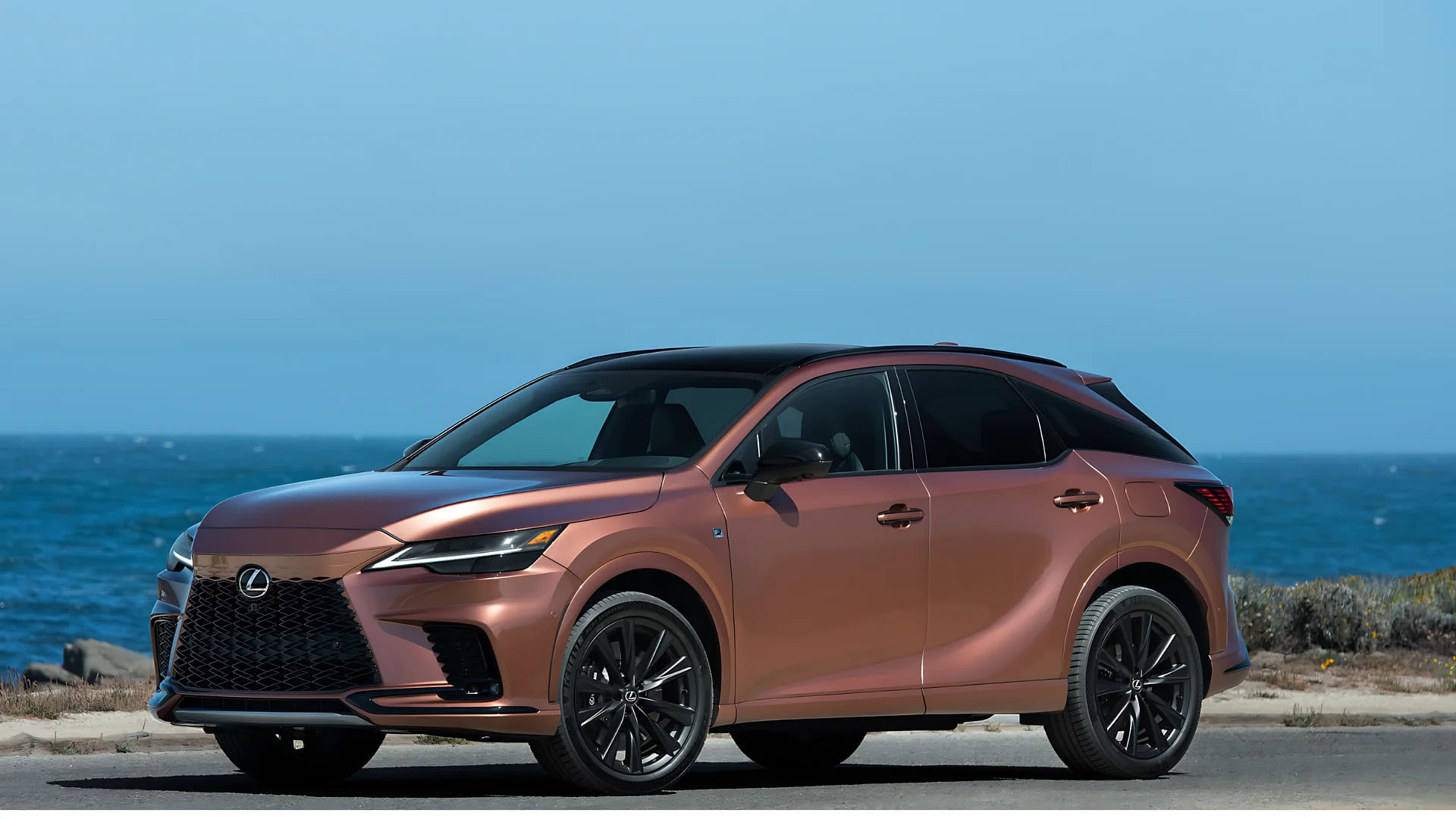 2024 Lexus RX Exterior